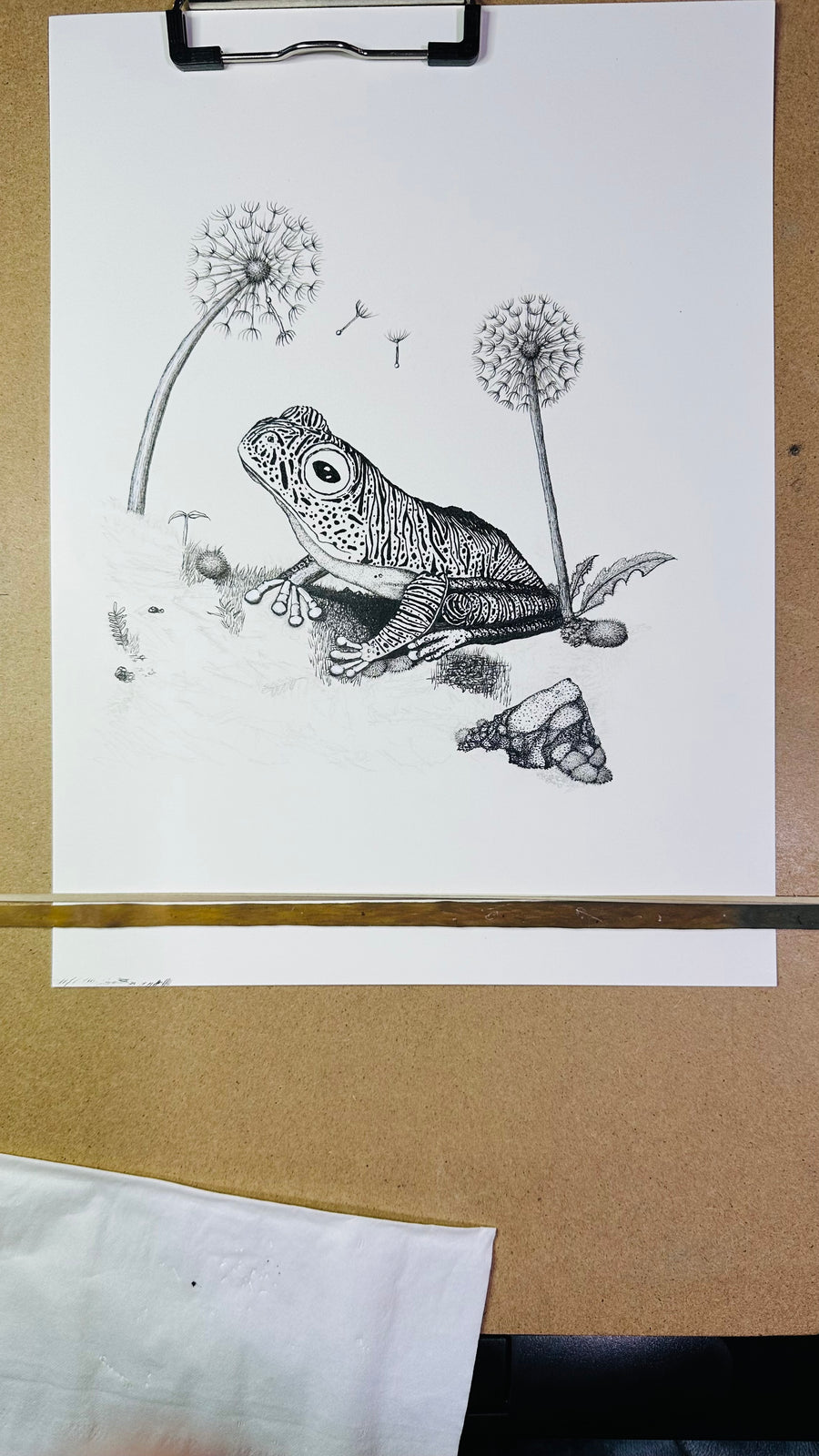 False Malabar gliding frog pen and ink archival print, view 7