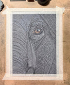 Elephant Eye - 8x10 Signed & Numbered Archival Print