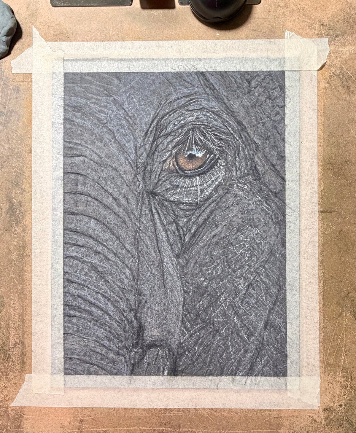Elephant Eye - 8x10 Signed & Numbered Archival Print