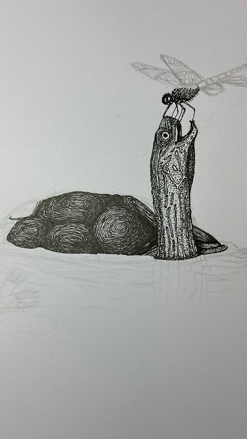 Turtle in Water with Dragonfly - 8x10 Signed & Numbered Fine Art Print