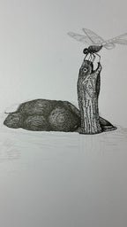 Turtle in Water with Dragonfly - 8x10 Signed & Numbered Fine Art Print