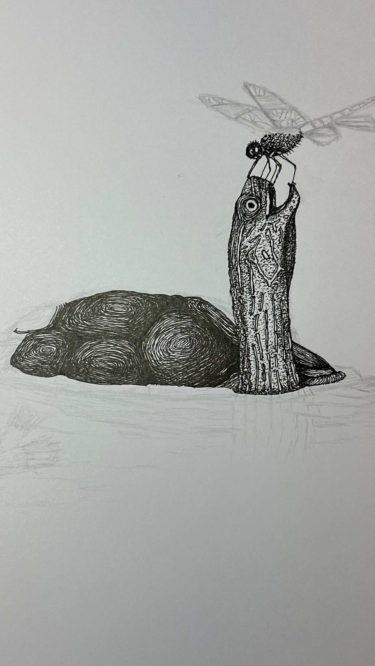 Turtle in Water with Dragonfly - 8x10 Signed & Numbered Fine Art Print
