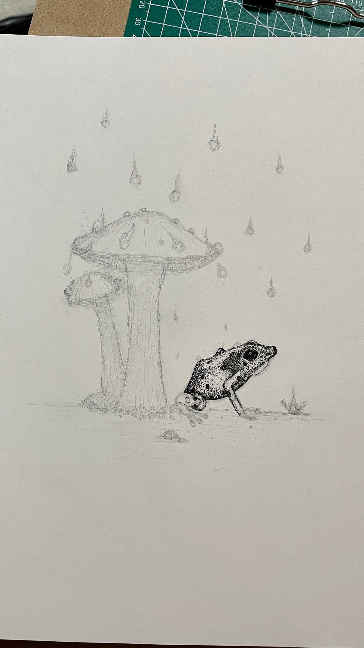Frog with Mushroom, Digitally Colored - 8x10 Signed Artist Proof Fine Art Print