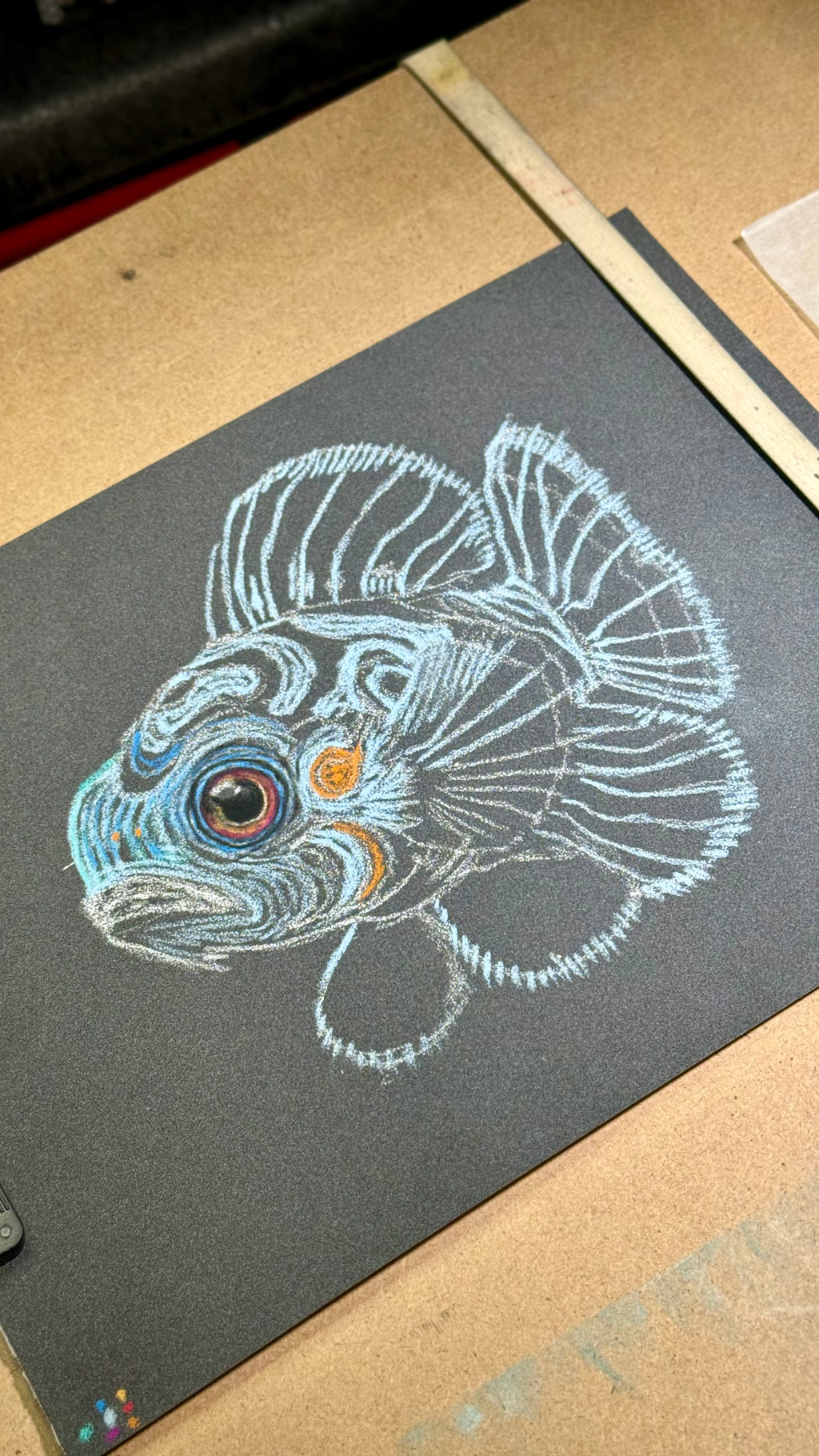 Mandarin Fish • Hand Drawn Original Pastel Pencil Drawing • 7x9.5