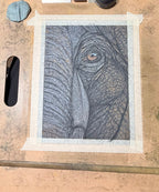 Elephant Eye - 7x9.5 Original Pastel Pencil Drawing - Framed 11x14