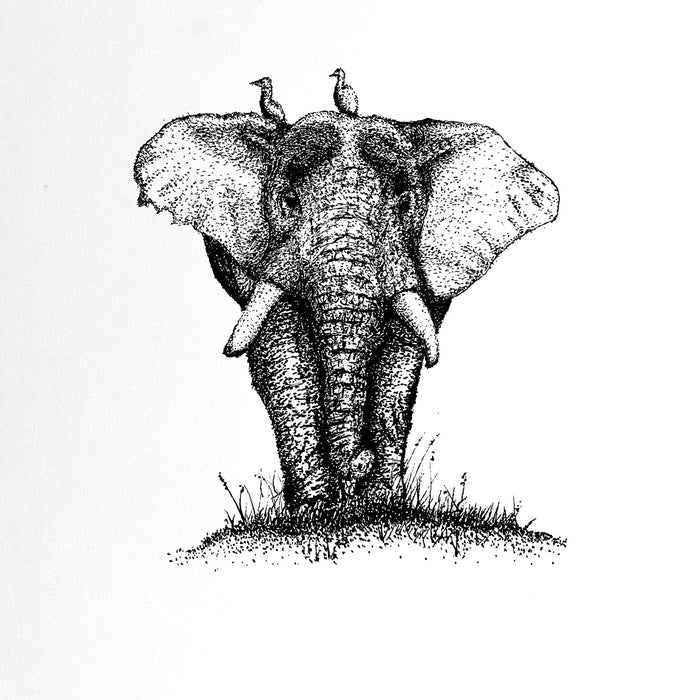 Elephant