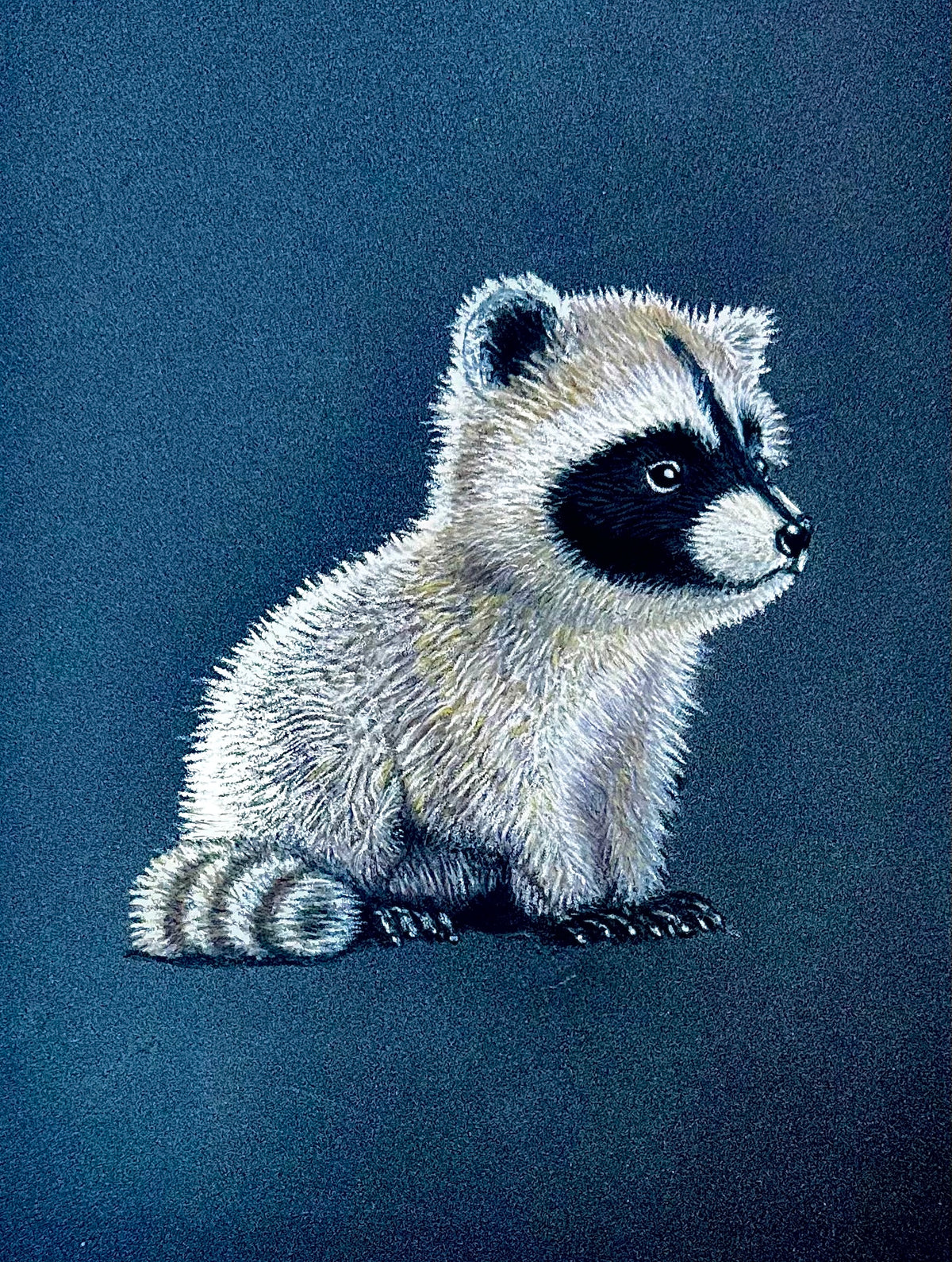 Baby Raccoon • Hand Drawn Pastel Pencil Illustration • Glass Ornament • 3.5"