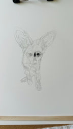 Bat-Eared Fox - 8x10 Signed & Numbered Fine Art Print