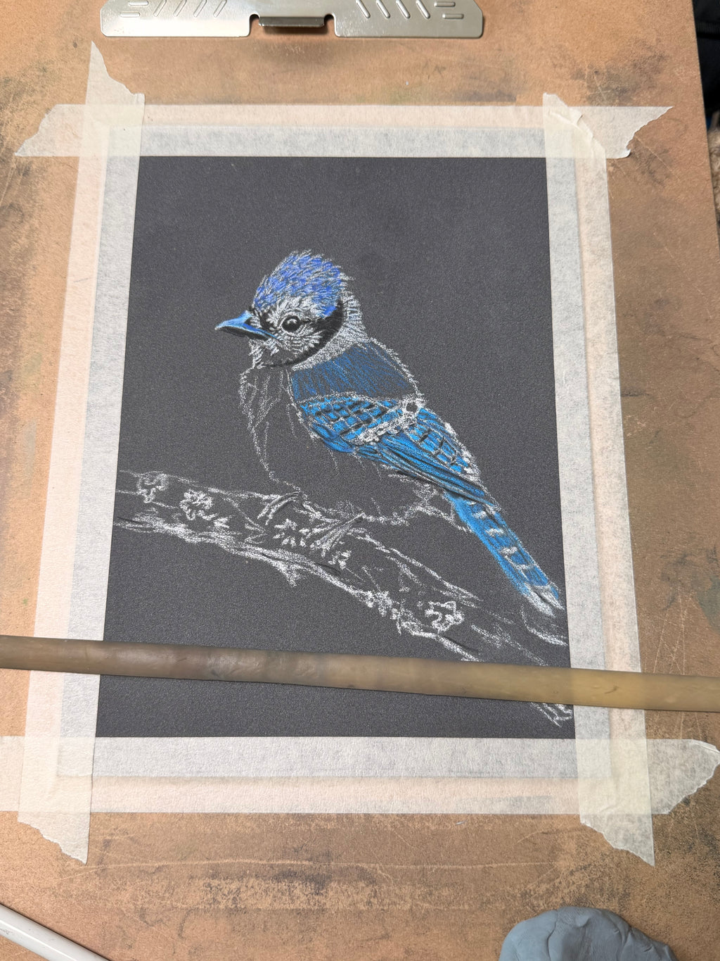 Blue Jay • Hand Drawn Pastel Pencil Illustration • Glass Ornament • 3.5"