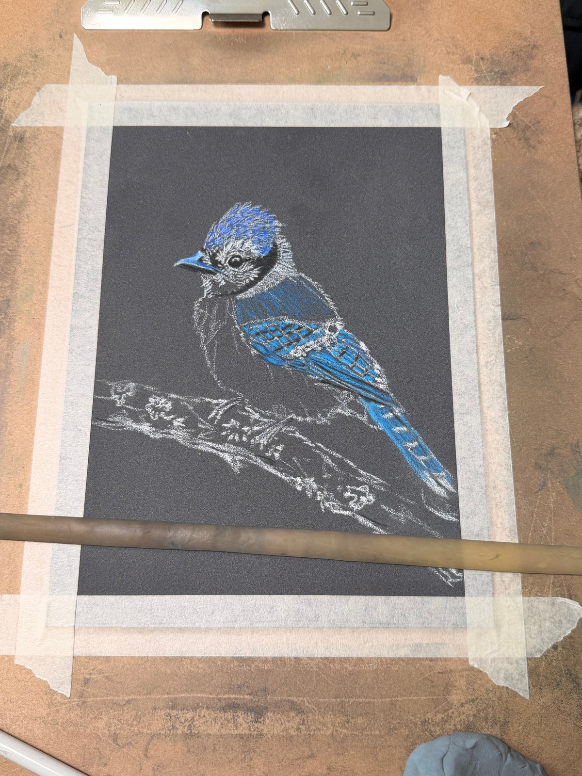 Blue Jay • Hand Drawn Pastel Pencil Illustration • Glass Ornament • 3.5"