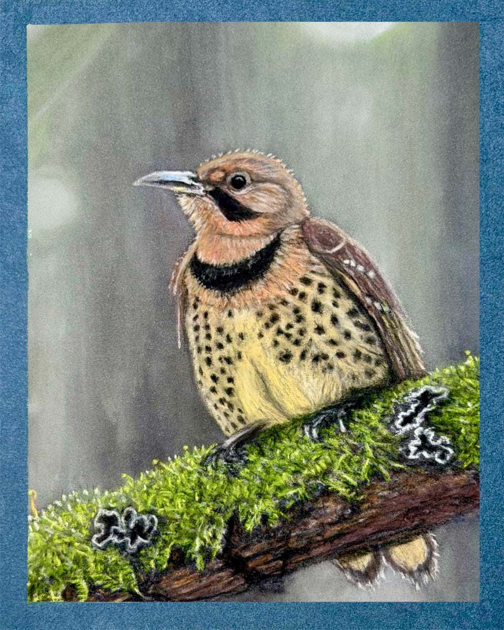 Hand Drawn Northern Flicker • Art Magnet