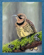 Hand Drawn Northern Flicker • Art Magnet