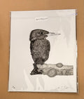 Kingfisher - 8x10 Signed & Numbered Fine Art Print