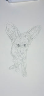 Bat-Eared Fox - 8x10 Signed & Numbered Fine Art Print