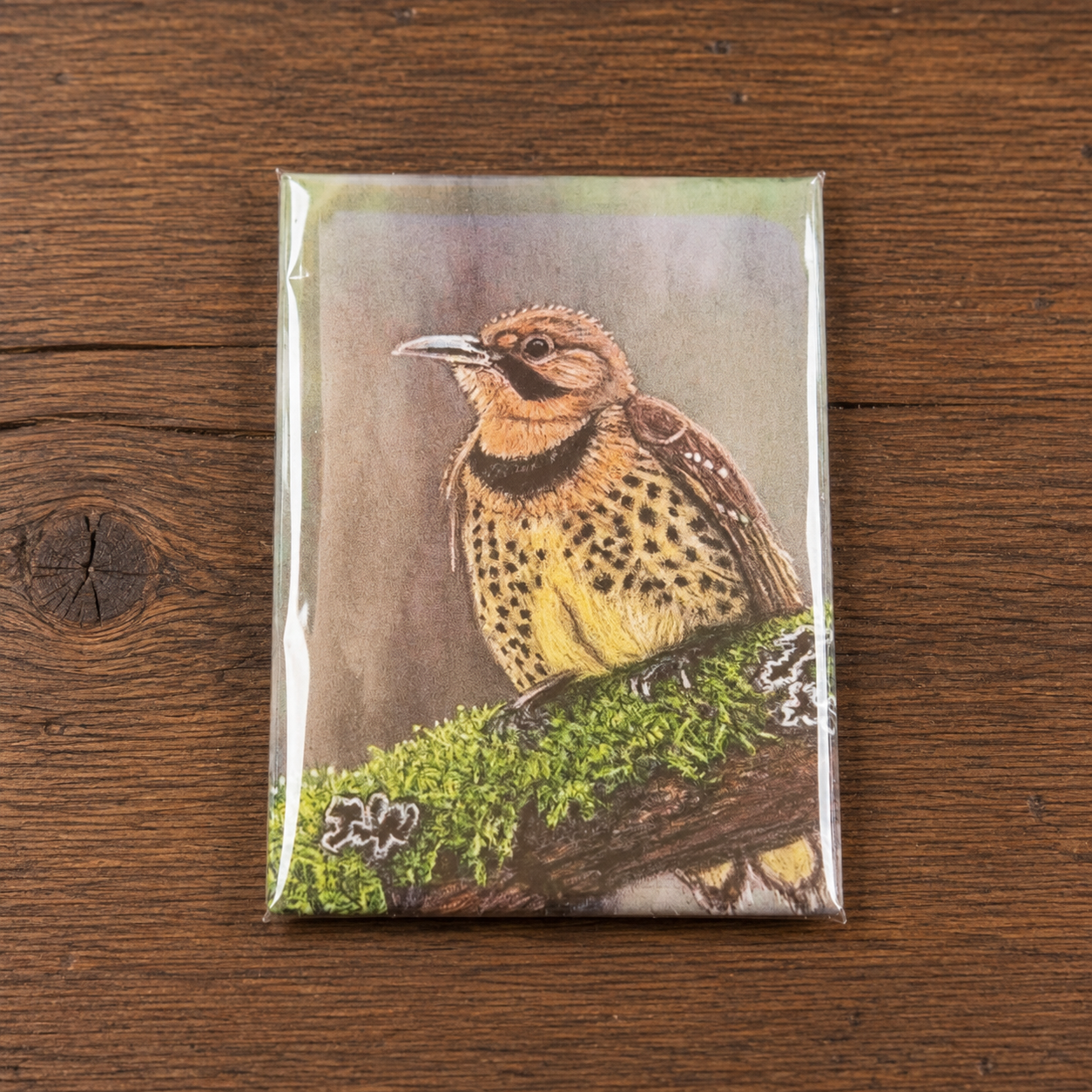 Hand Drawn Northern Flicker • Art Magnet