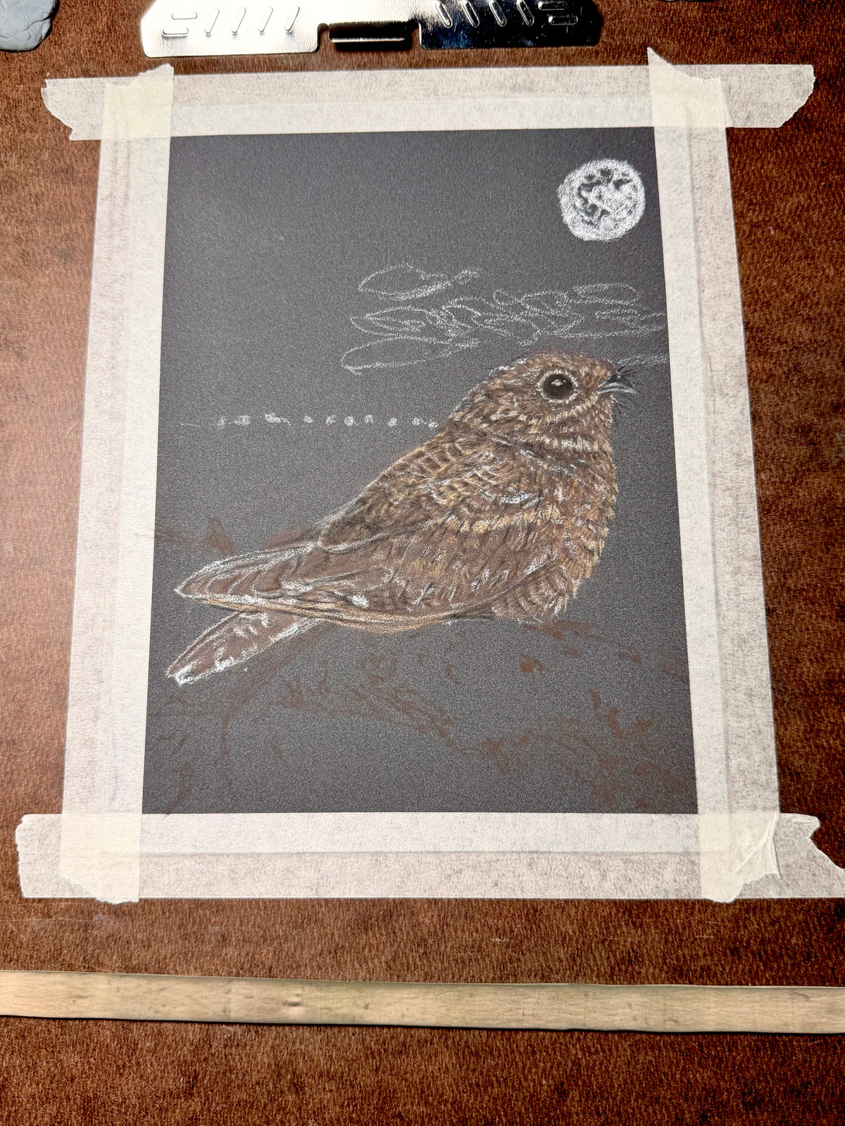 Nightjar - 7x9.5 Original Pastel Pencil Drawing