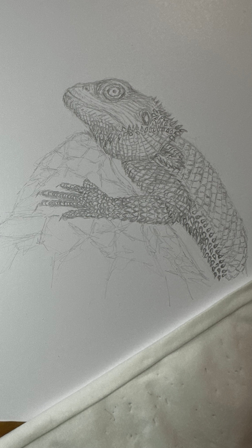 Bearded Dragon - 8x10 Signed & Numbered Fine Art Print