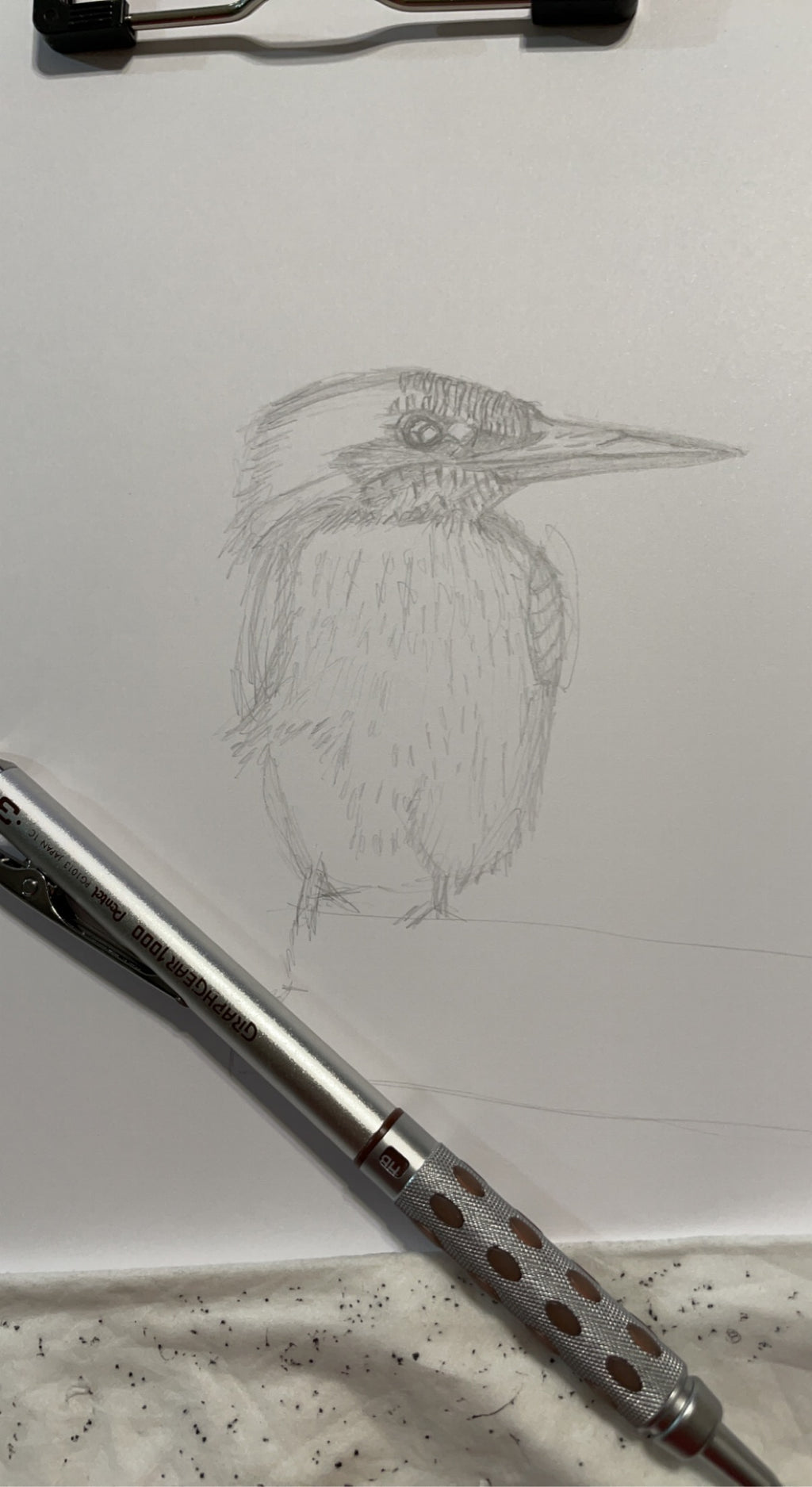 Kingfisher - 8x10 Signed & Numbered Fine Art Print