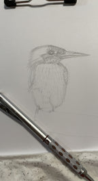 Kingfisher - 8x10 Signed & Numbered Fine Art Print