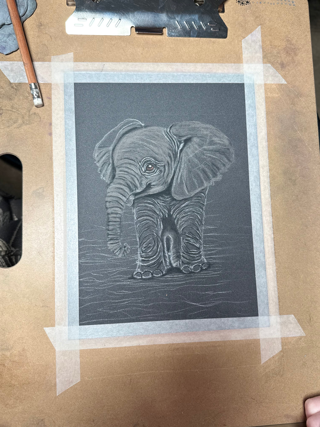 Baby Elephant Giclee Print Hand Drawn Pastel Art 10x12 - 8x10 Print Area Signed and Numbered