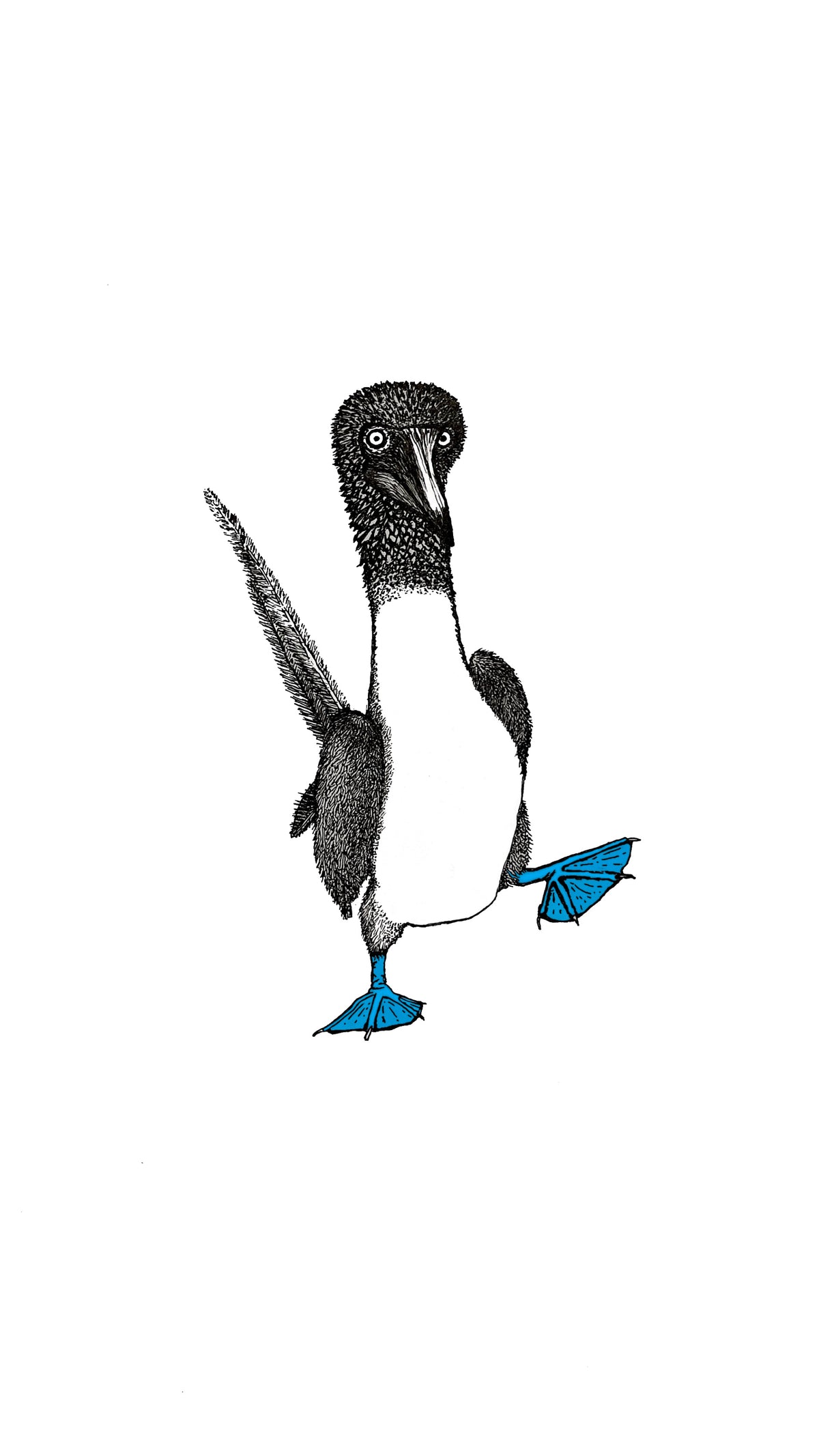 Blue Footed Booby • Hand Drawn Ink Illustration • Glass Ornament • 3.5"