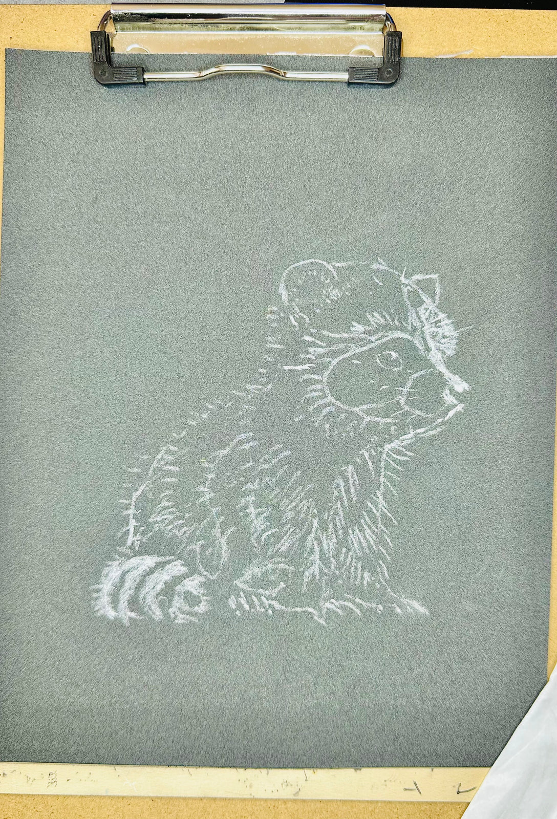 Baby Raccoon • Hand Drawn Pastel Pencil Illustration • Glass Ornament • 3.5"