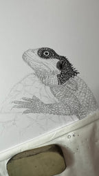 Bearded Dragon - 8x10 Signed & Numbered Fine Art Print