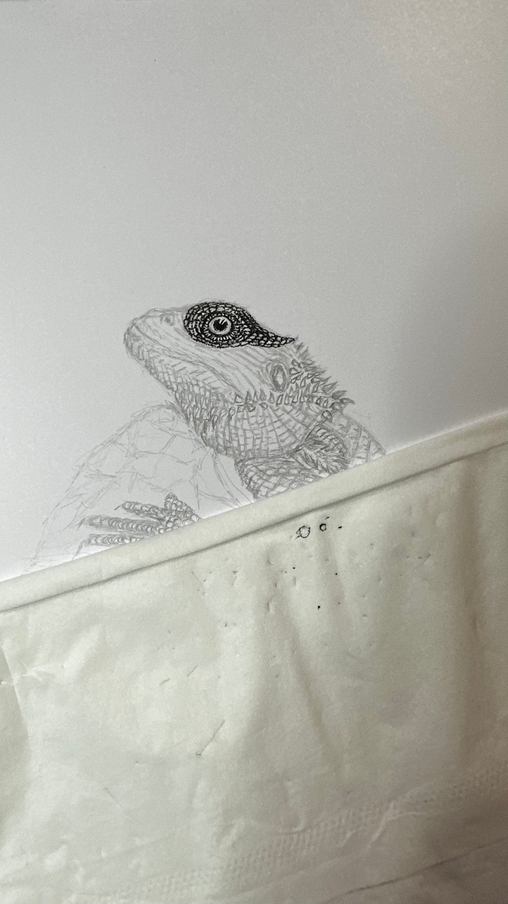 Bearded Dragon - 8x10 Signed & Numbered Fine Art Print