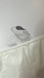 Bearded Dragon - 8x10 Signed & Numbered Fine Art Print