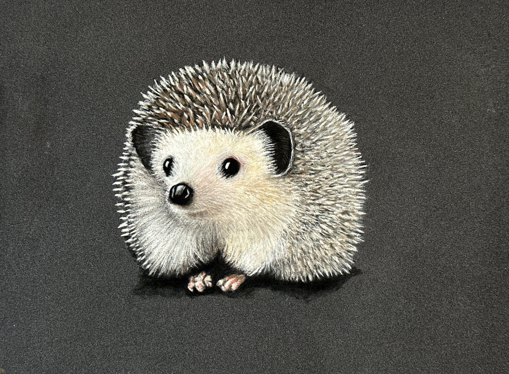 Hedgehog • Hand Drawn Original Pastel Pencil Drawing