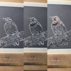 Hand Drawn Northern Flicker • Art Magnet