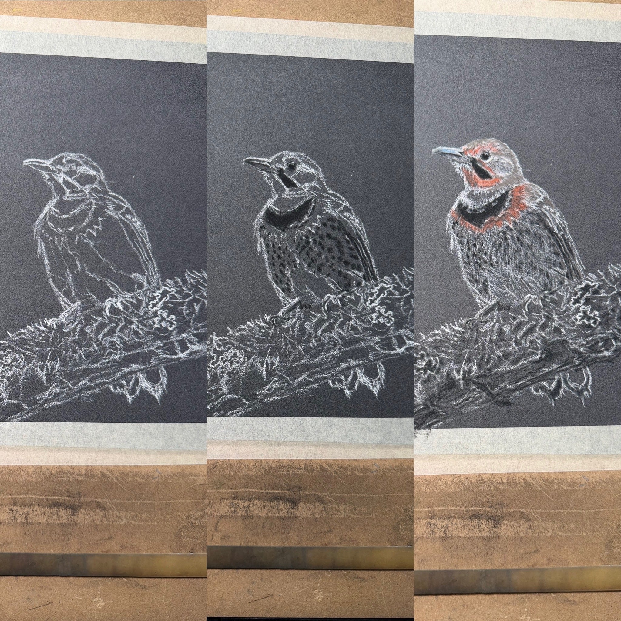 Hand Drawn Northern Flicker • Art Magnet