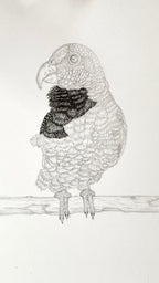 White-capped Pionus Parrot - 8x10 Signed & Numbered Fine Art Print