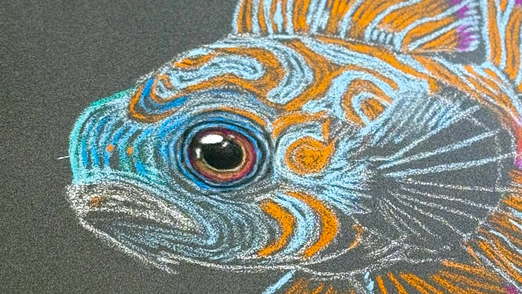 Mandarin Fish • Hand Drawn Pastel Pencil Illustration • Glass Ornament • 3.5"