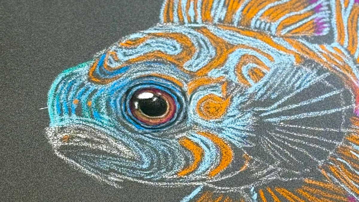 Mandarin Fish • Hand Drawn Pastel Pencil Illustration • Glass Ornament • 3.5"