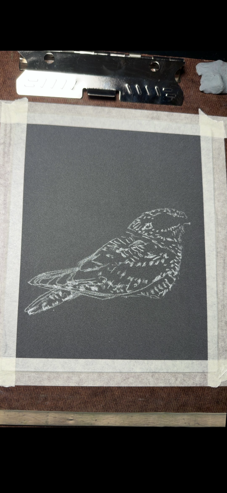 Nightjar - 7x9.5 Original Pastel Pencil Drawing