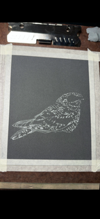 Nightjar - 7x9.5 Original Pastel Pencil Drawing
