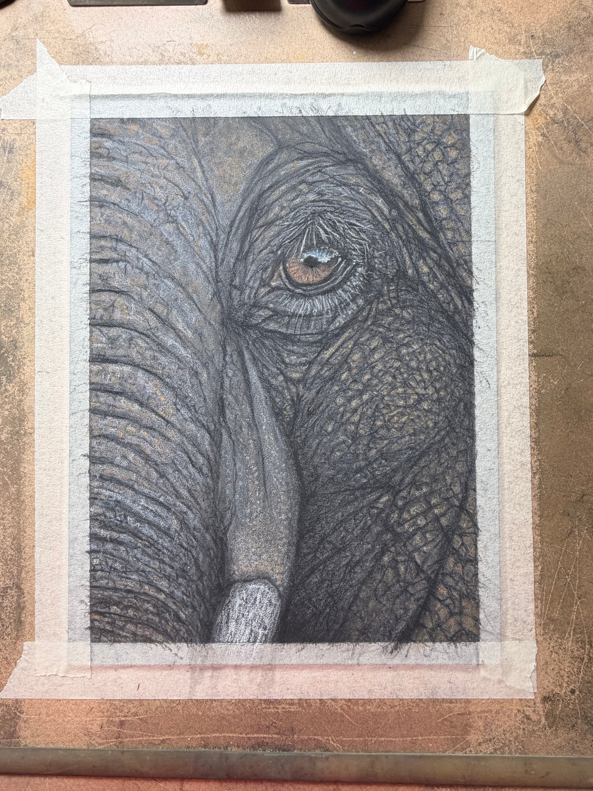 Elephant Eye - 8x10 Signed & Numbered Archival Print