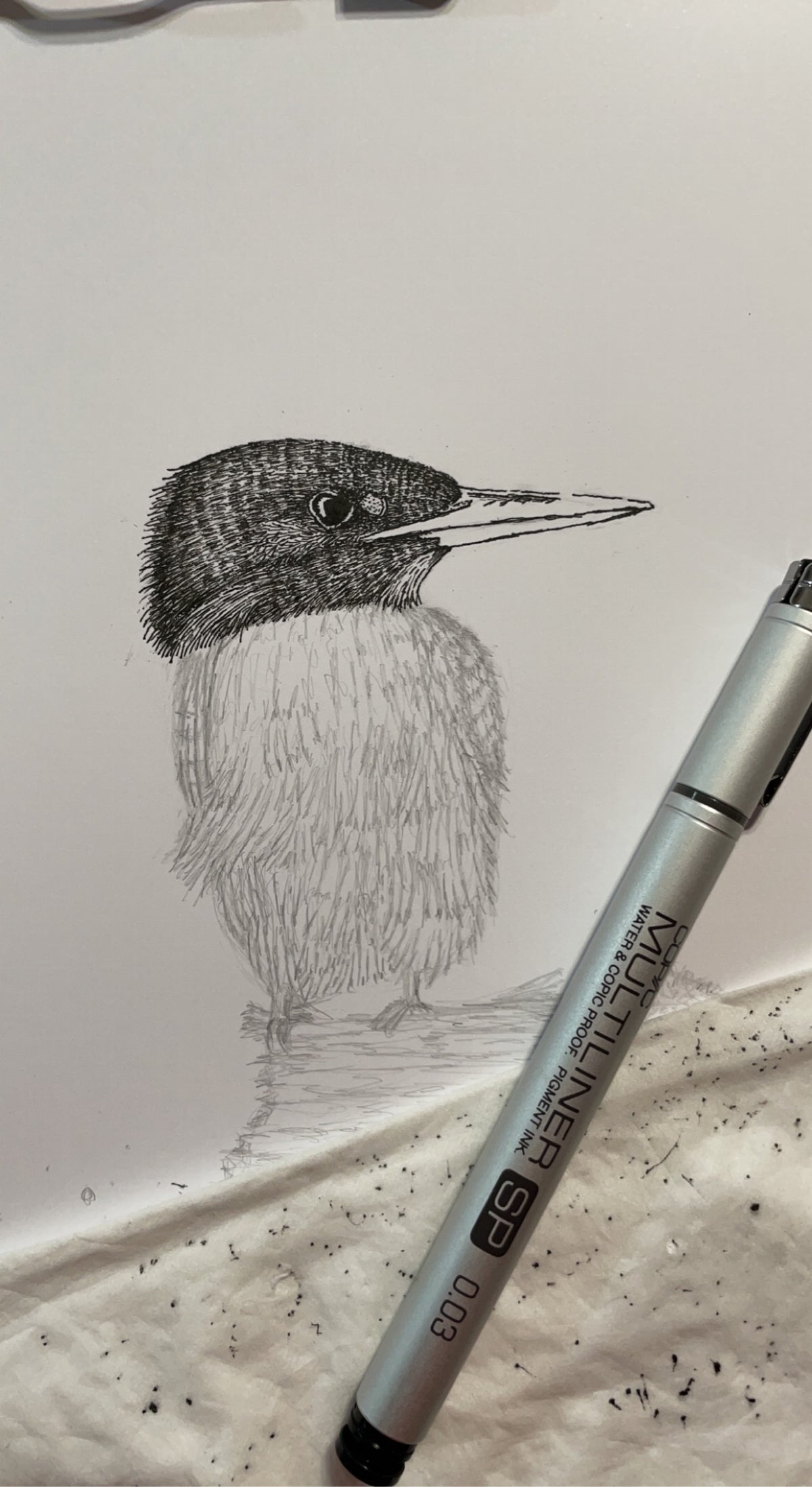 Kingfisher - 8x10 Signed & Numbered Fine Art Print
