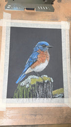 Eastern Bluebird • Hand Drawn Pastel Pencil Illustration • Glass Ornament • 3.5"