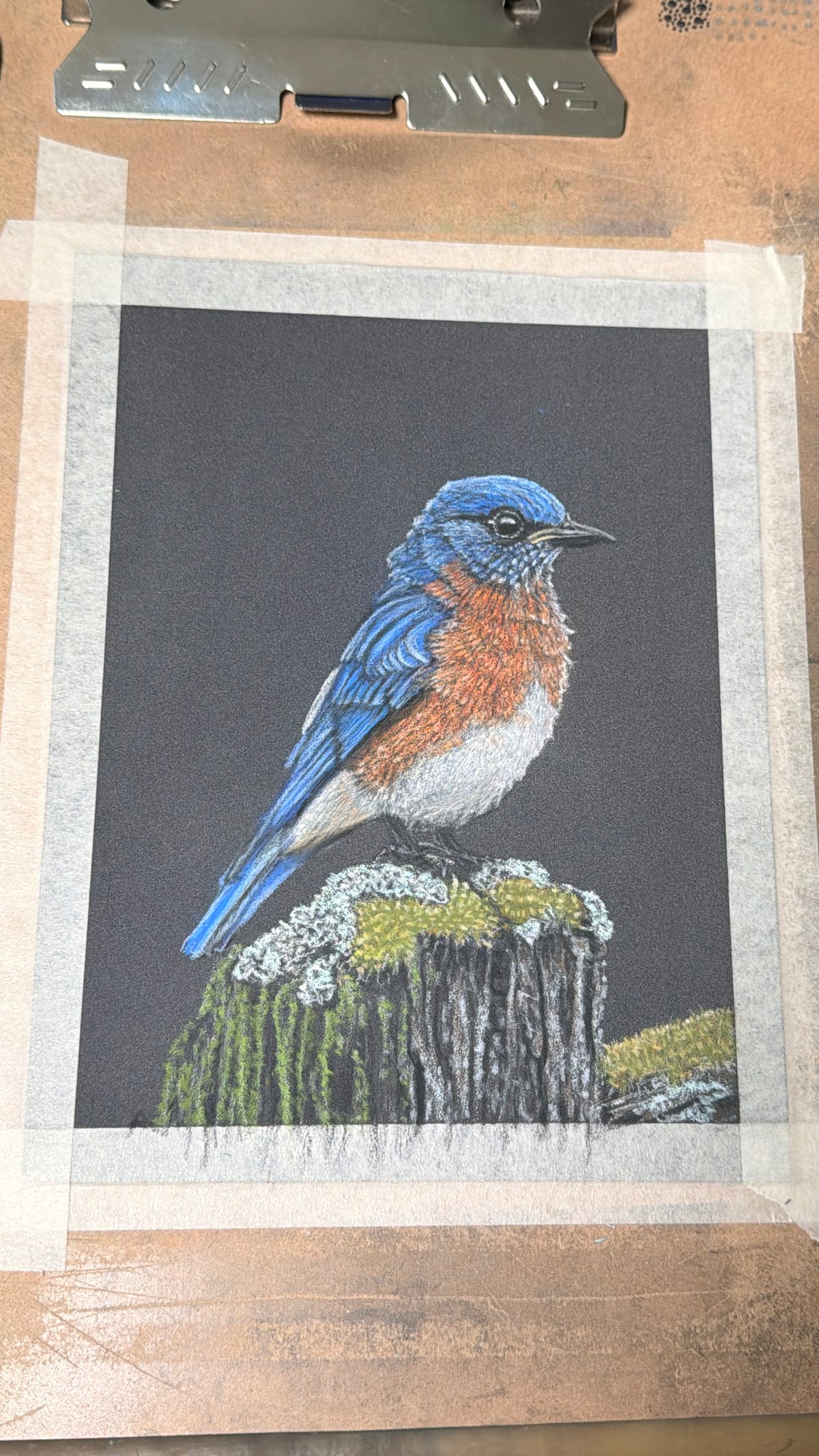 Eastern Bluebird • Hand Drawn Pastel Pencil Illustration • Glass Ornament • 3.5"