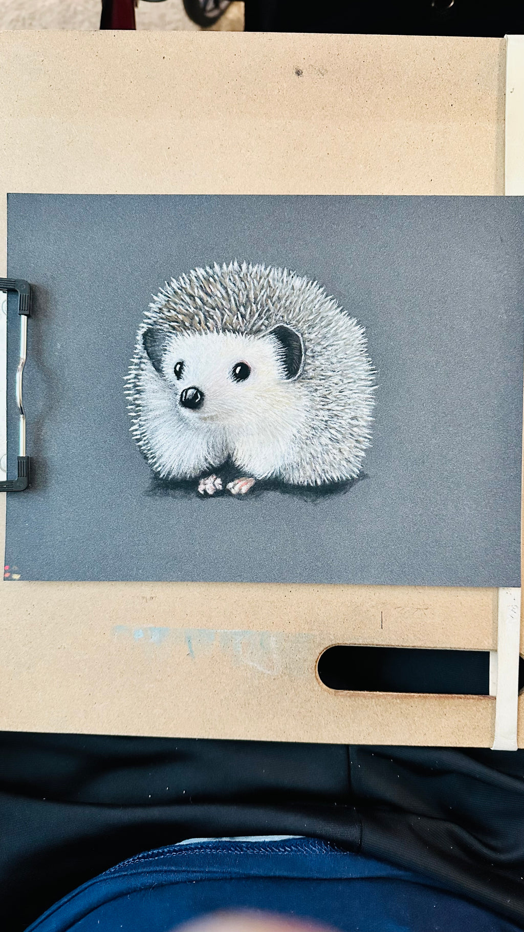 Hedgehog • Hand Drawn Original Pastel Pencil Drawing