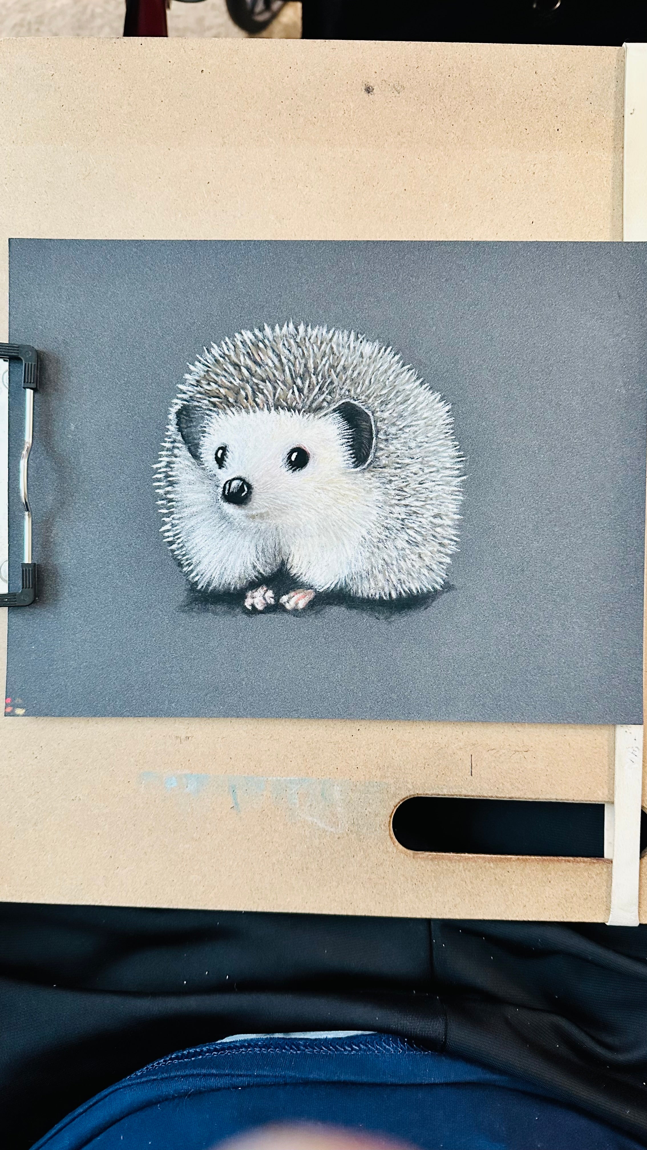 Hedgehog • Hand Drawn Original Pastel Pencil Drawing