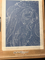 Squid Eye - Giclee Print Hand Drawn Pastel Art 10x12 Signed and Numbered