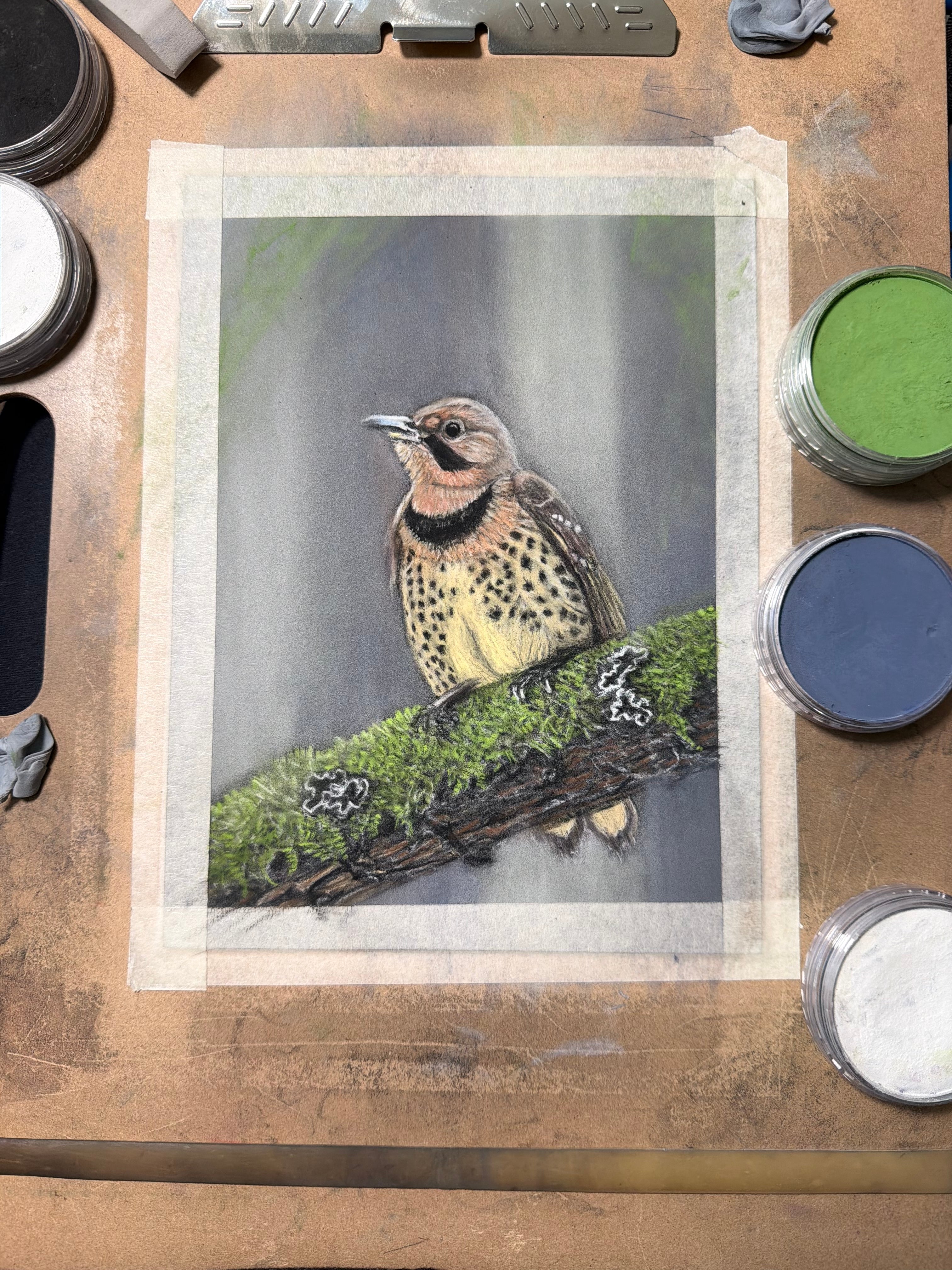 Hand Drawn Northern Flicker • Art Magnet
