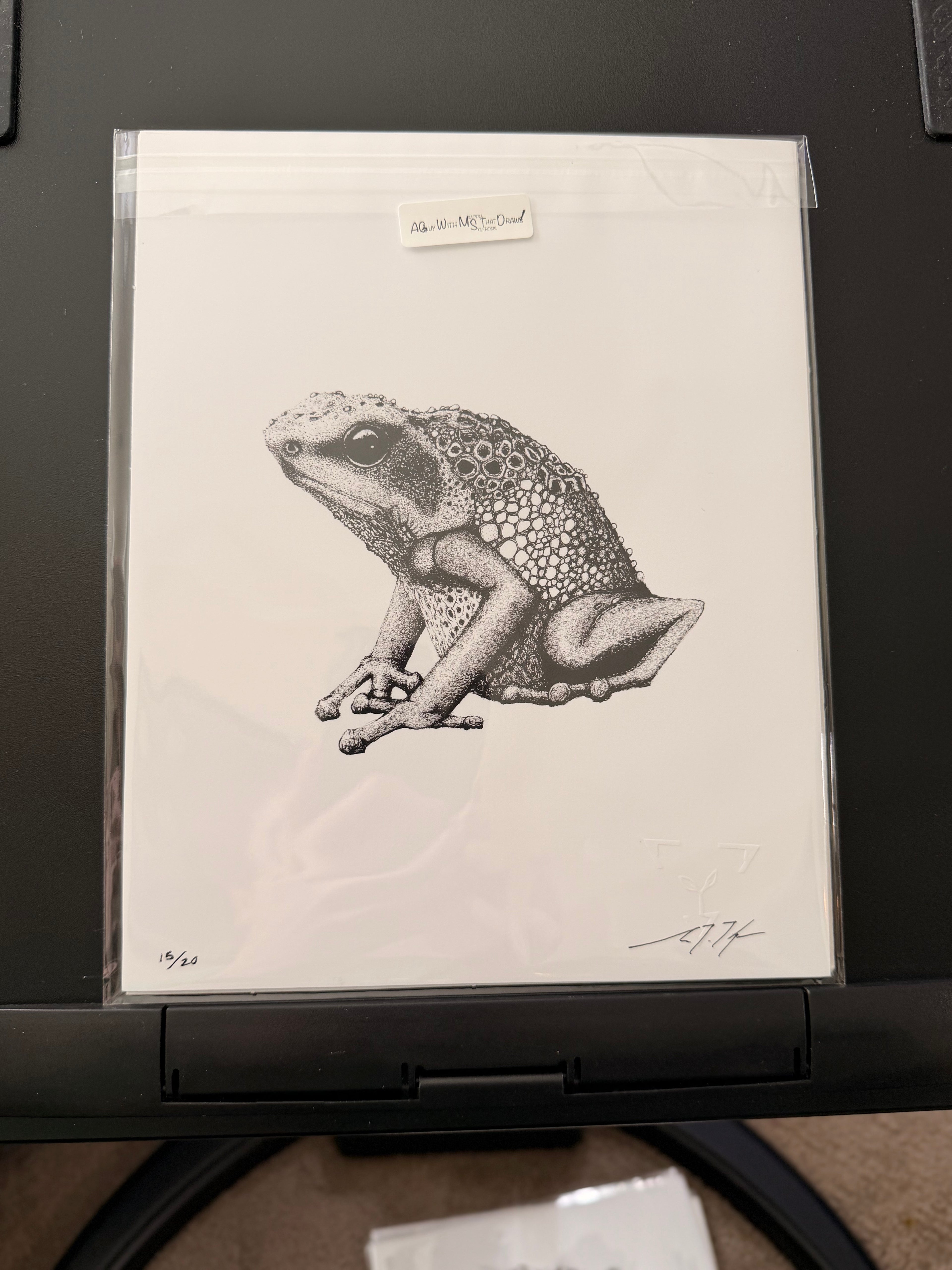 Goliath Frog • Hand Drawn Ink • Limited Edition Print • 8x10