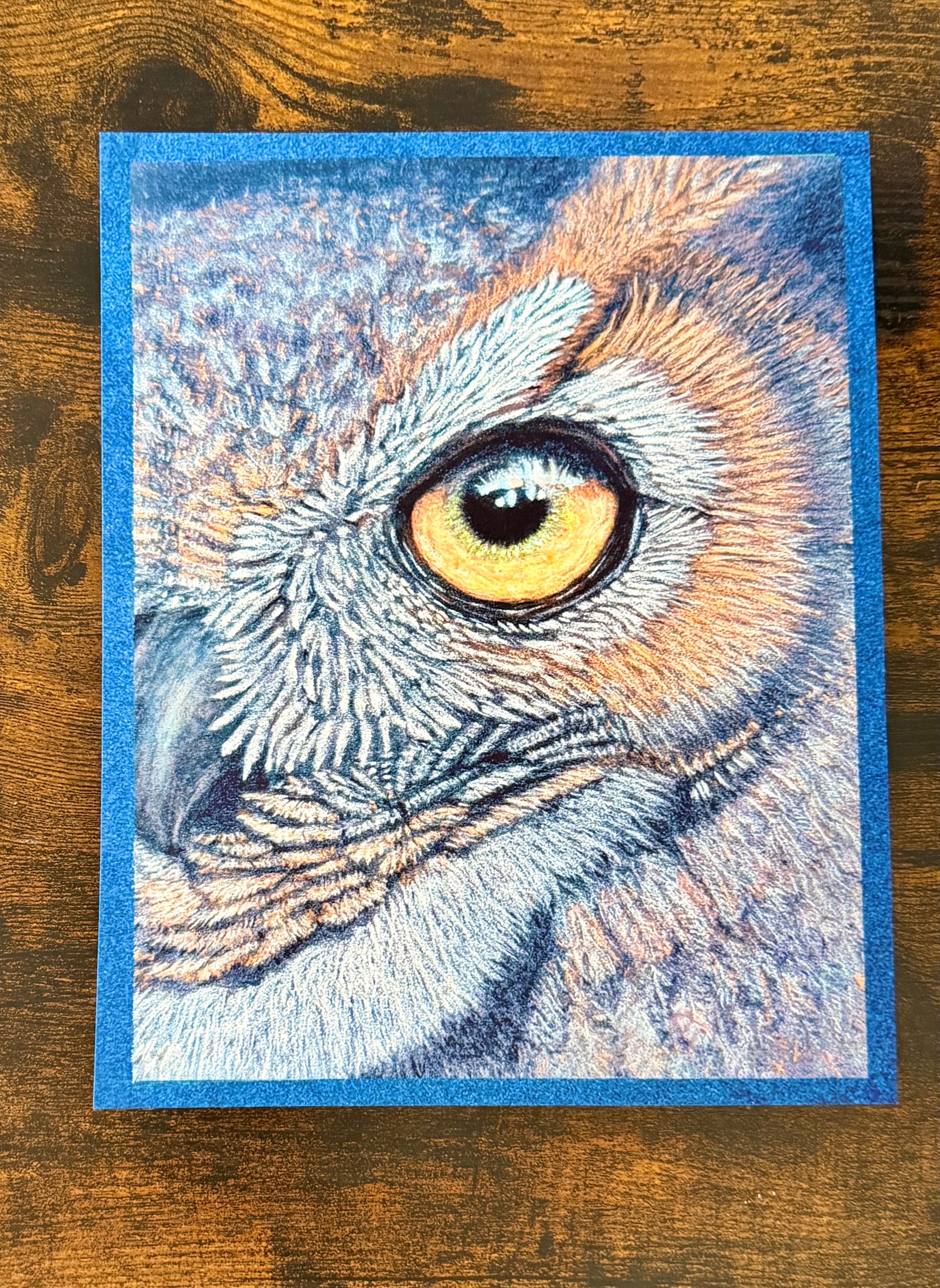 Hand drawn pastel pencil drawing of a great horned owl eye, 8x10 limited edition fine art print