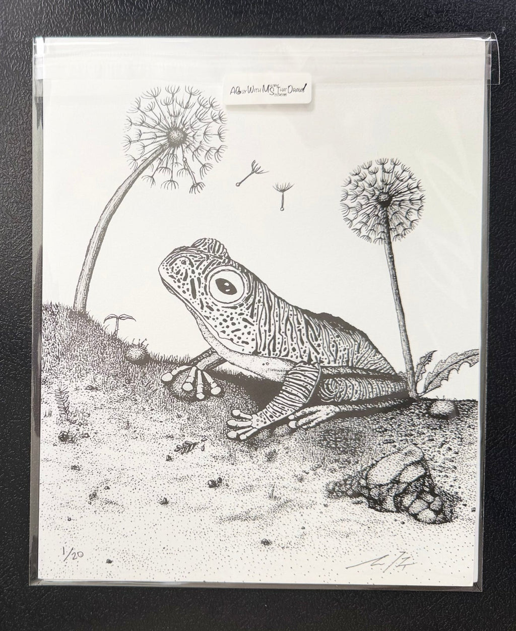 False Malabar gliding frog hand drawn in pen and ink, 8x10 signed and numbered archival print