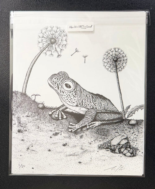 False Malabar gliding frog hand drawn in pen and ink, 8x10 signed and numbered archival print