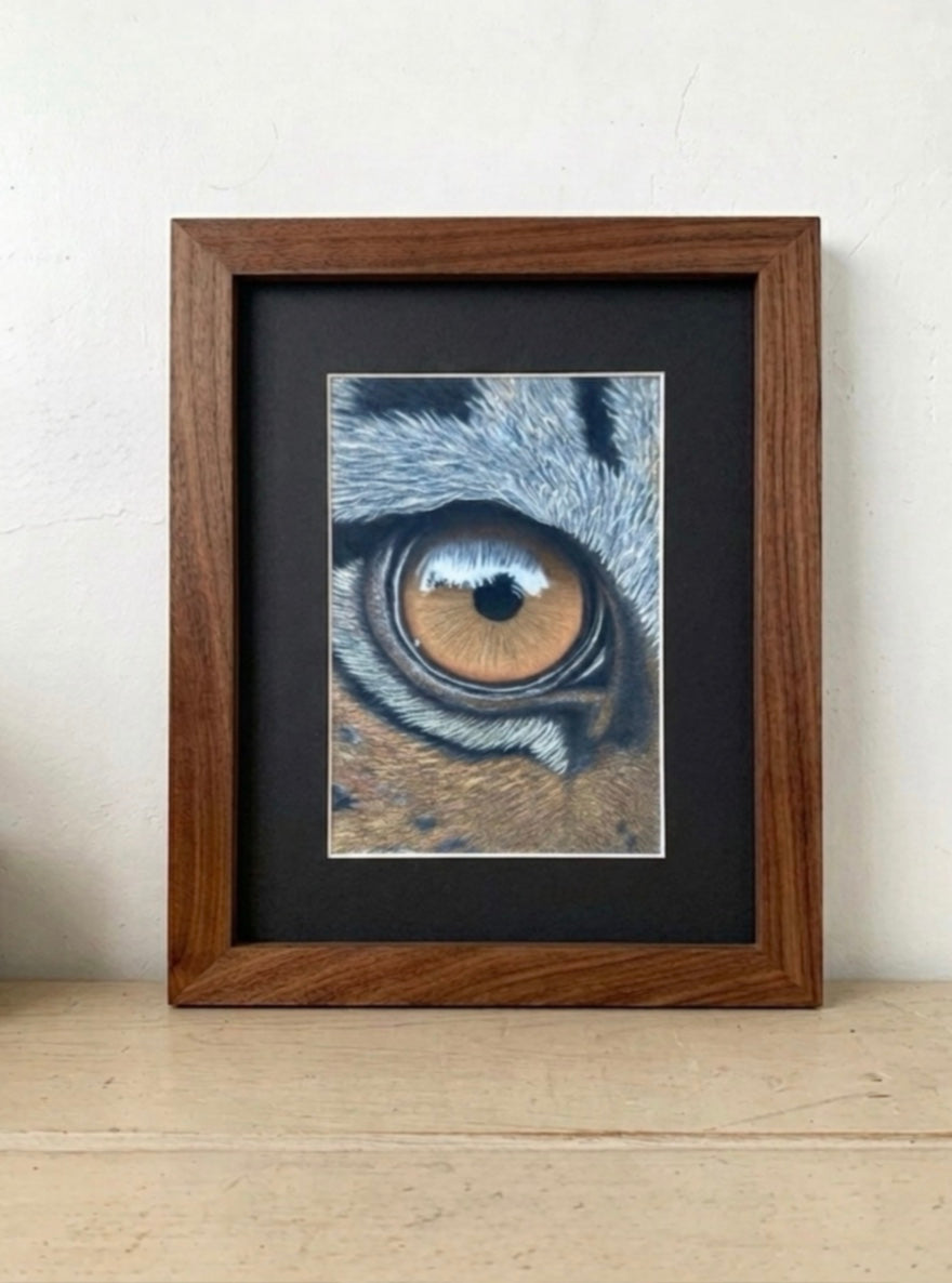 Tiger Eye Study {Original Piece} - Hand Drawn Pastel Art 7x9.5 Signed Artwork